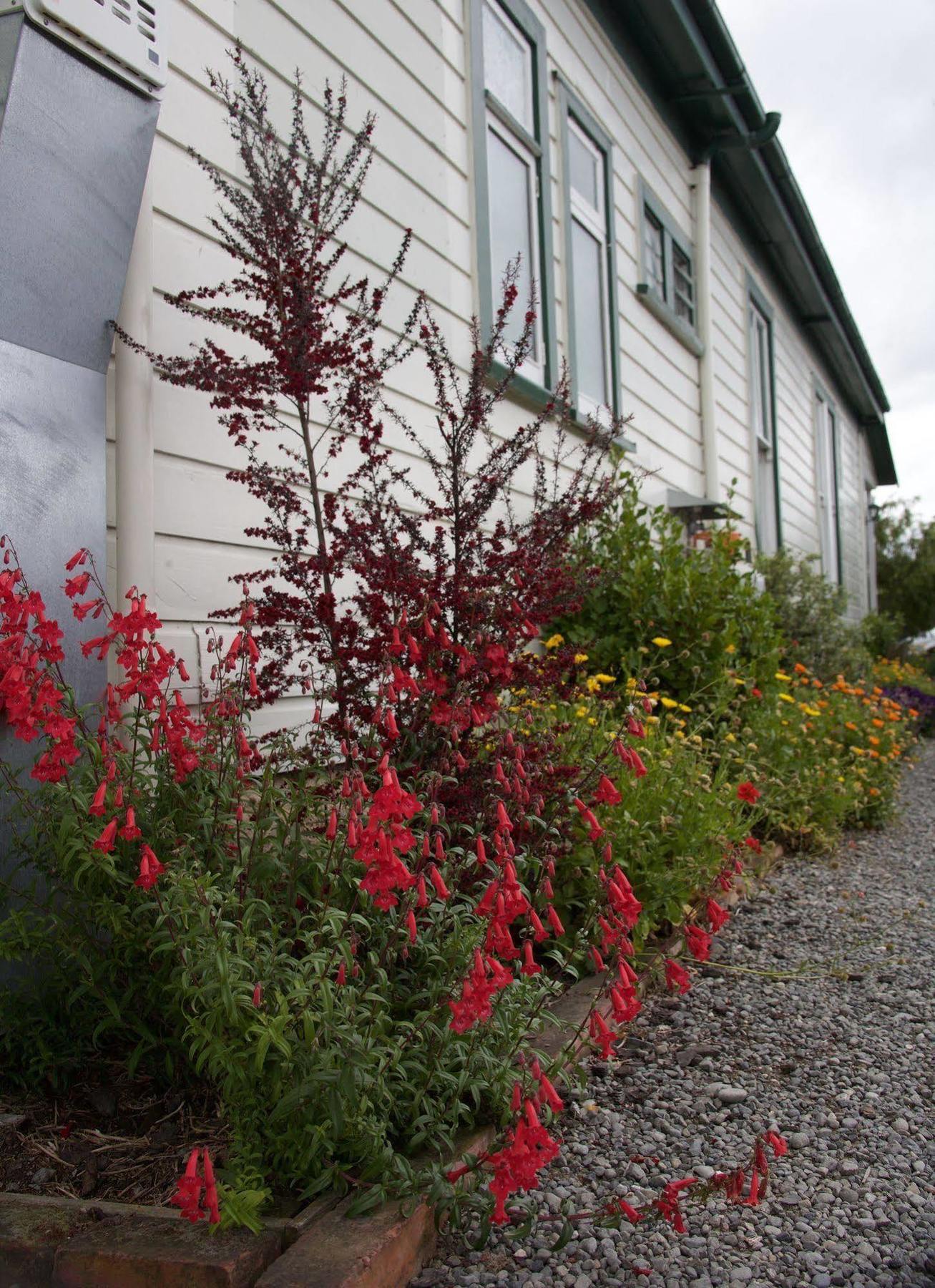 Pinedale Lodge & Apartment Methven Exterior photo