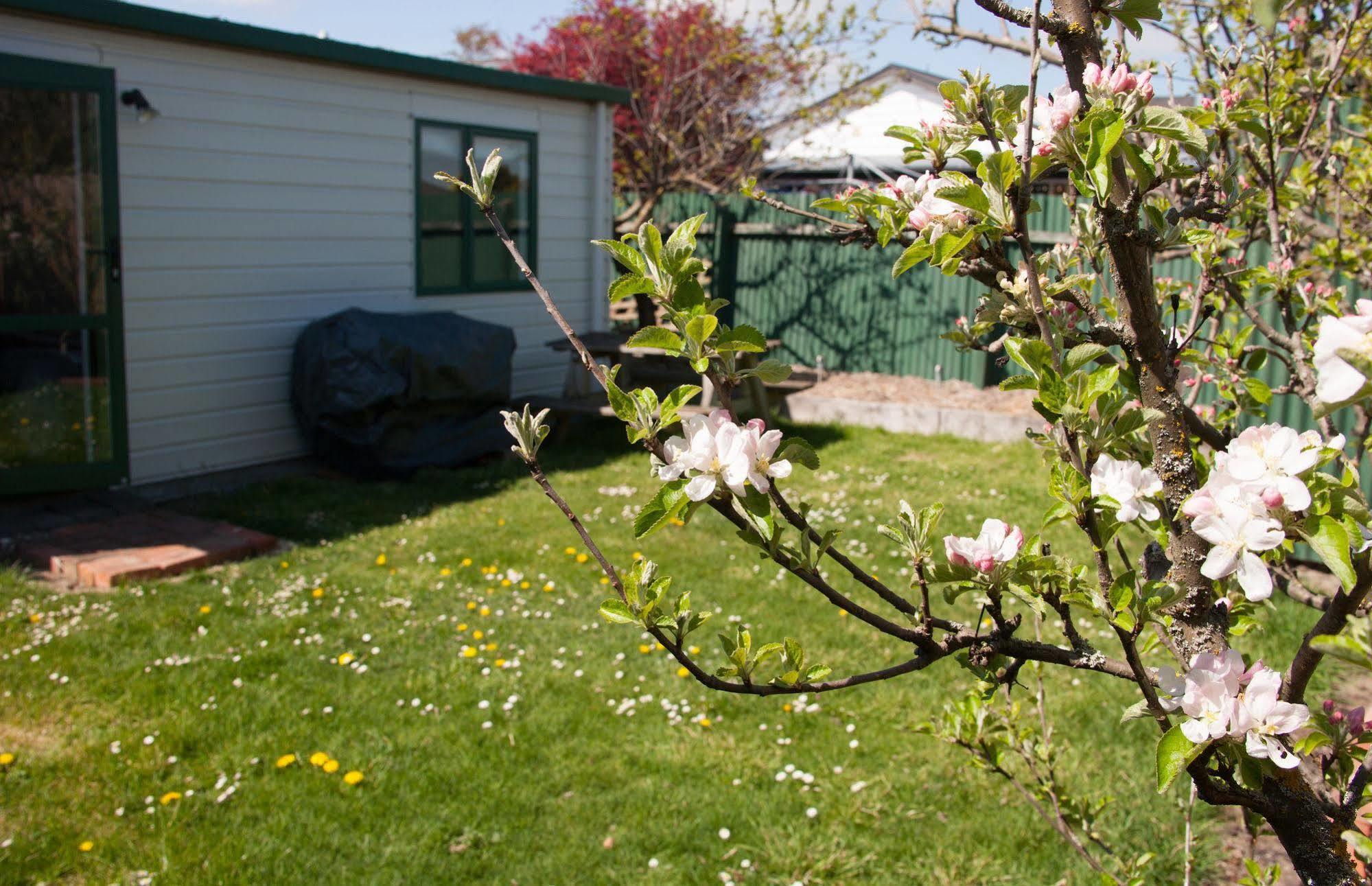 Pinedale Lodge & Apartment Methven Exterior photo